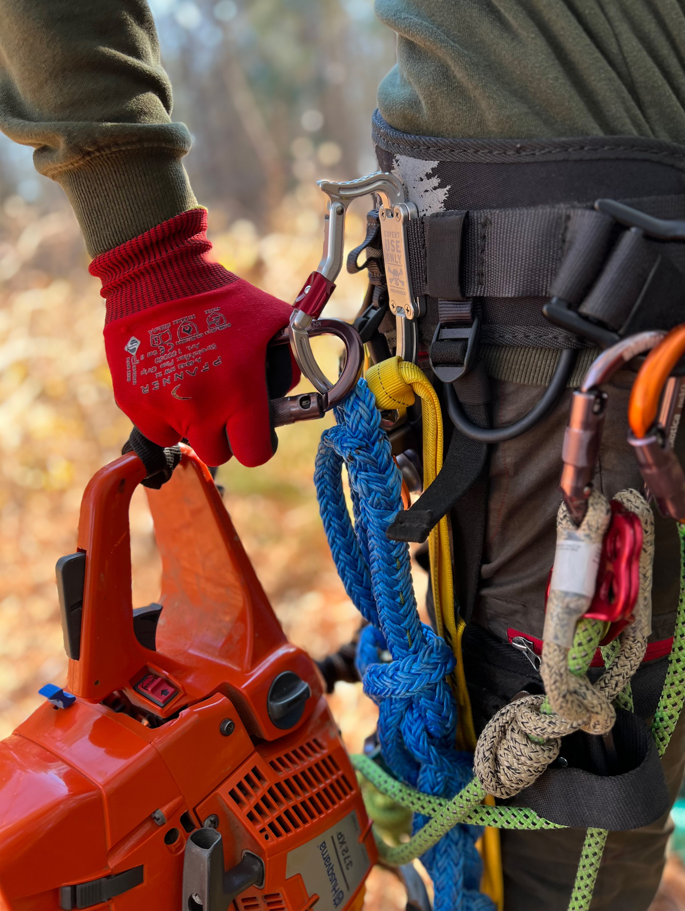 Transporter XL (Cosmetic Second)